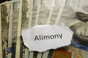 Alimony with Domestic Violence Protection Order NJ