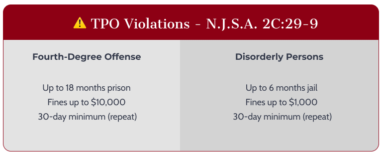 TPO Violations - N.J.S.A. 2C:29-9